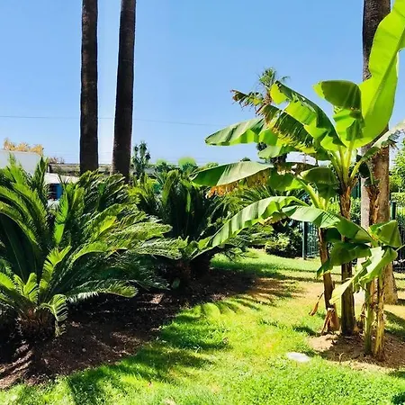 Апартаменты Front De Mer, 8min Du Palais Des Festivals *